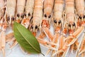Seafood Royalty Free Stock Photo
