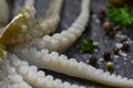 Seafood fresh squid raw ocean gourmet dinner with herbs and spices on dark background / Close up tentacles of octopus