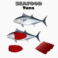 Seafood fresh tuna vector