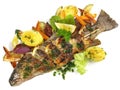Seafood - Grilled Fish - Rainbow Trout isolated on white Background Royalty Free Stock Photo