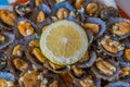 Seafood - grilled limpets served with lemon. Lapas grelhadas Royalty Free Stock Photo