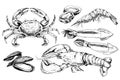 Seafood hand drawn collection