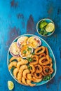 SEAFOOD hot platter baked scallops, fried squid rings and shimps Royalty Free Stock Photo