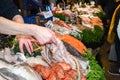 Seafood on ice at the fish market Royalty Free Stock Photo