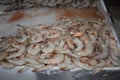 Seafood ice at fish market Royalty Free Stock Photo