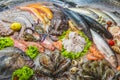 Seafood on ice at the fish market, marine fish, crab, shrimp, octopus, scallops Royalty Free Stock Photo