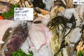 Seafood on ice at the fish market Royalty Free Stock Photo