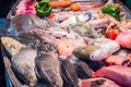 Seafood on ice at the fish market Royalty Free Stock Photo