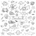 Seafood icons set