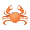 Seafood. Illustration of a crab on a white background