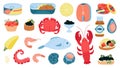 Seafood ingredients, squid fish and shrimps. Cartoon flat delicious raw caviar, sardines in can. Isolated salmon and