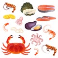 Seafood isolated on white, set of fresh ocean delicacies, oyster, prawn and shrimp, vector illustration Royalty Free Stock Photo