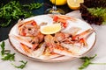 Seafood. Langoustine, scampi or Norway lobster with lemon on white plate