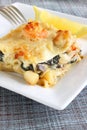 Seafood lasagne Royalty Free Stock Photo