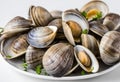 Steamed Littleneck Clams with fresh herbs, AI Generated Royalty Free Stock Photo