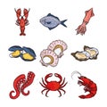 Seafood lobster squid fish crab octopus oysters menu gourmet fresh icon isolated image