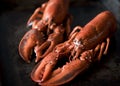 Seafood lobsters. Fresh beautiful large sea lobsters. Delicious lobster on a old table Royalty Free Stock Photo