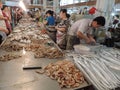 Seafood on the market of china shanghai Royalty Free Stock Photo