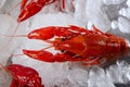 Seafood in market over ice Royalty Free Stock Photo
