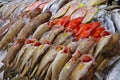 Seafood market stall with different kinds of fishes on ice in dubai Royalty Free Stock Photo