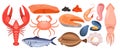 Seafood menu isolated set, cartoon raw marine fishes, sea or ocean food collection