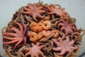 Seafood and noodles. Shrimps, octopus and buckwheat noodles.