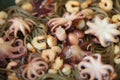 Seafood and noodles. Shrimps, octopus and buckwheat noodles.