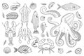 Seafood outline sketch set. Sea animal line banner. Seafood meal menu illustration. Fishes, lobster, squid, octopus