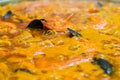 Seafood paella in its paella pan