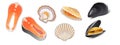 Seafood in paper volumetric style layers. Vector mussels, fish, salmon, clam, oyster. Royalty Free Stock Photo