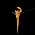 Seafood pasta with shrimp and mint leaf at fork. spanish and italian cuisine concept at black backdrop. Copy space Royalty Free Stock Photo