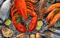 Seafood plate with lobster shrimp fish shellfish and lemon herb, Seafood buffet fresh raw seafood on ice - top view Royalty Free Stock Photo