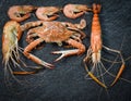 Seafood plate with shrimps prawns crab ocean gourmet dinner food shellfish cooked on dark background Royalty Free Stock Photo