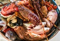 Seafood plate with spiny lobsters shrimp fish shellfish and herb, Seafood buffet fresh raw seafood on pot - top view Royalty Free Stock Photo