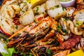 Seafood platter. Grilled lobster, shrimps, scallops, langoustines, octopus, squid on white plate Royalty Free Stock Photo