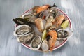 Seafood platter with oyste and shrimp Royalty Free Stock Photo