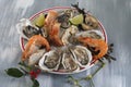 Seafood platter with oyste and shrimp Royalty Free Stock Photo