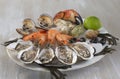 Seafood platter with oyste and shrimp Royalty Free Stock Photo