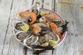 Seafood platter with oyste and shrimp Royalty Free Stock Photo