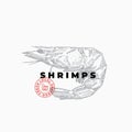 Seafood Purveiors or Restaurant Abstract Vector Sign, Symbol or Logo Template. Hand Drawn Shrimp with Premium Modern