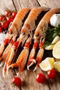 Seafood raw food: scampi or langoustine with vegetables, herbs a Royalty Free Stock Photo