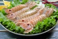 Seafood raw mantis shrimp, or sea cicadas Royalty Free Stock Photo