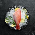 Seafood raw snapper on ice. Top view. Royalty Free Stock Photo