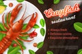 Seafood Restaurant Advertising Banner, Crayfish