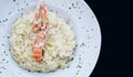 Seafood risotto dish with a big prawn on top Royalty Free Stock Photo