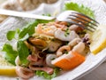 Seafood salad Royalty Free Stock Photo