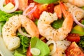 Seafood salad with shrimps Royalty Free Stock Photo