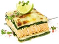 Seafood - Salmon - Fish Lasagne isolated on white Background