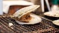 Seafood sandwich on the grill Royalty Free Stock Photo