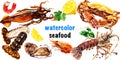 Seafood set, fresh lobster, crab, oysters, mussels, shrimp, squid, prawn, sea food, isolated, elements for restaurant